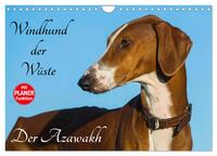Vorderes Coverbild Windhund der Wüste - Der Azawakh (Wandkalender 2025 DIN A4 quer), CALVENDO Monatskalender