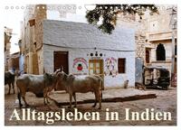 Vorderes Coverbild Alltagsleben in Indien (Wandkalender 2025 DIN A4 quer), CALVENDO Monatskalender