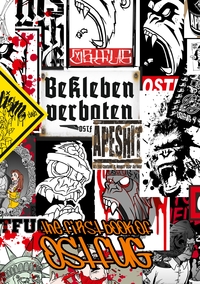 Vorderes Coverbild the first book of ostfug