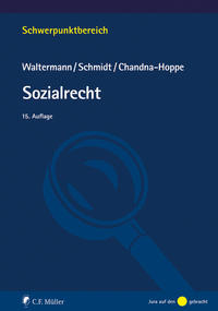 Vorderes Coverbild Sozialrecht