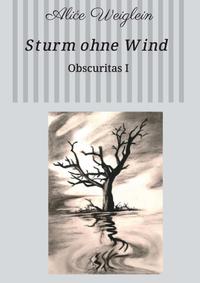 Vorderes Coverbild Sturm ohne Wind