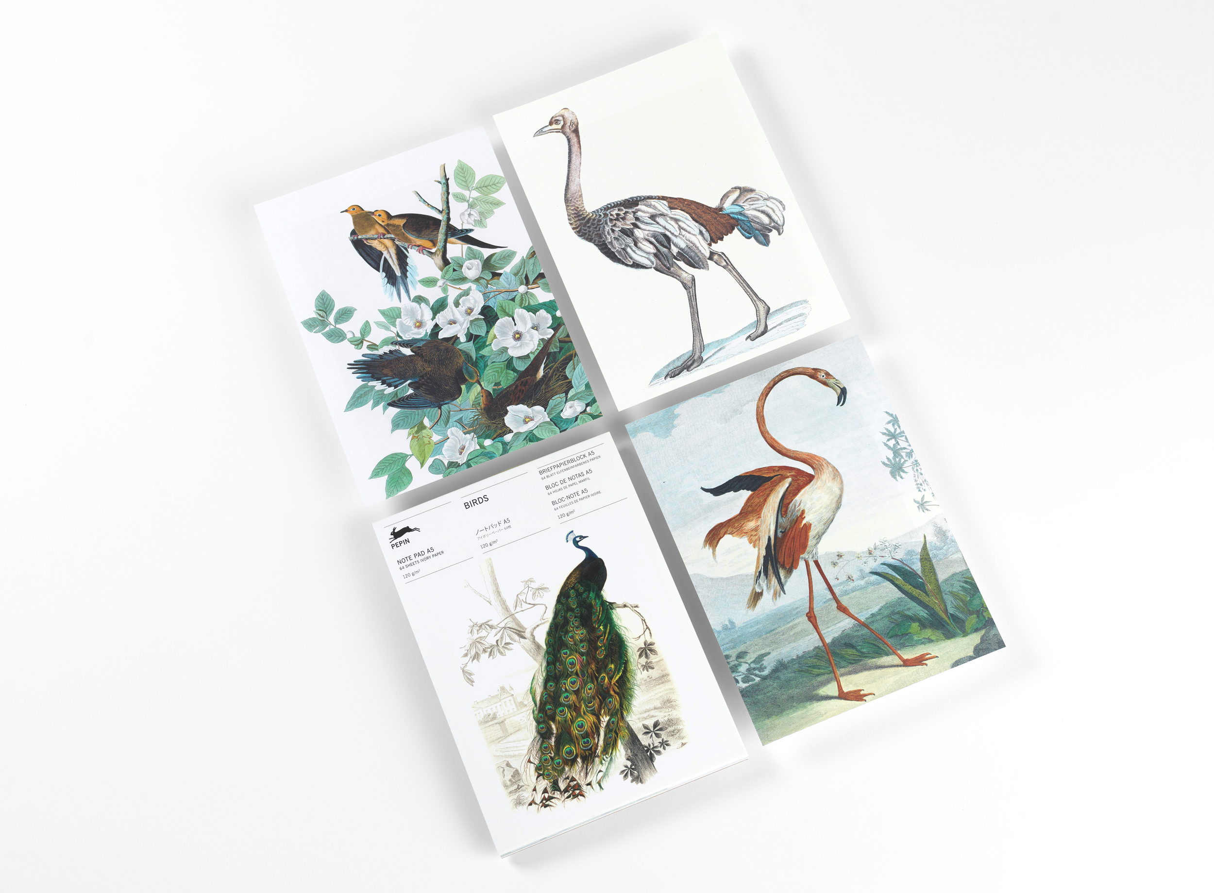 Beispielinhalt (Bild) Birds