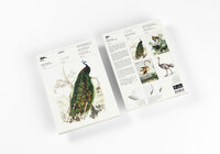 Vorderes Coverbild Birds