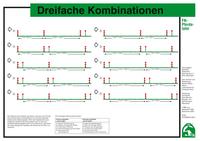 Vorderes Coverbild Dreifache Kombinationen
