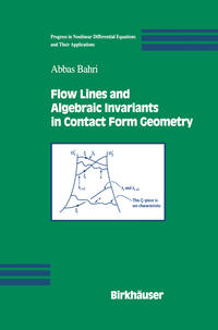 Vorderes Coverbild Flow Lines and Algebraic Invariants in Contact Form Geometry