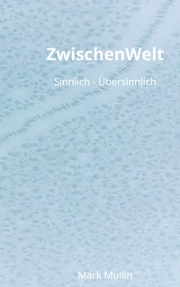Vorderes Coverbild ZwischenWelt
