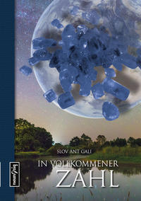 Vorderes Coverbild In vollkommener Zahl