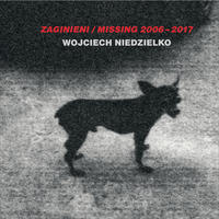 Vorderes Coverbild ZAGINIENI / MISSING 2006 - 2017