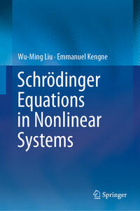 Vorderes Coverbild Schrödinger Equations in Nonlinear Systems