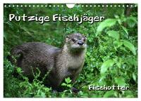 Vorderes Coverbild Putzige Fischjäger (Wandkalender 2025 DIN A4 quer), CALVENDO Monatskalender