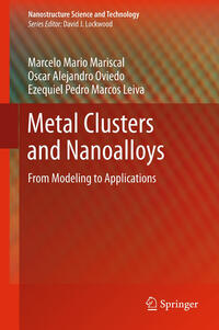 Vorderes Coverbild Metal Clusters and Nanoalloys