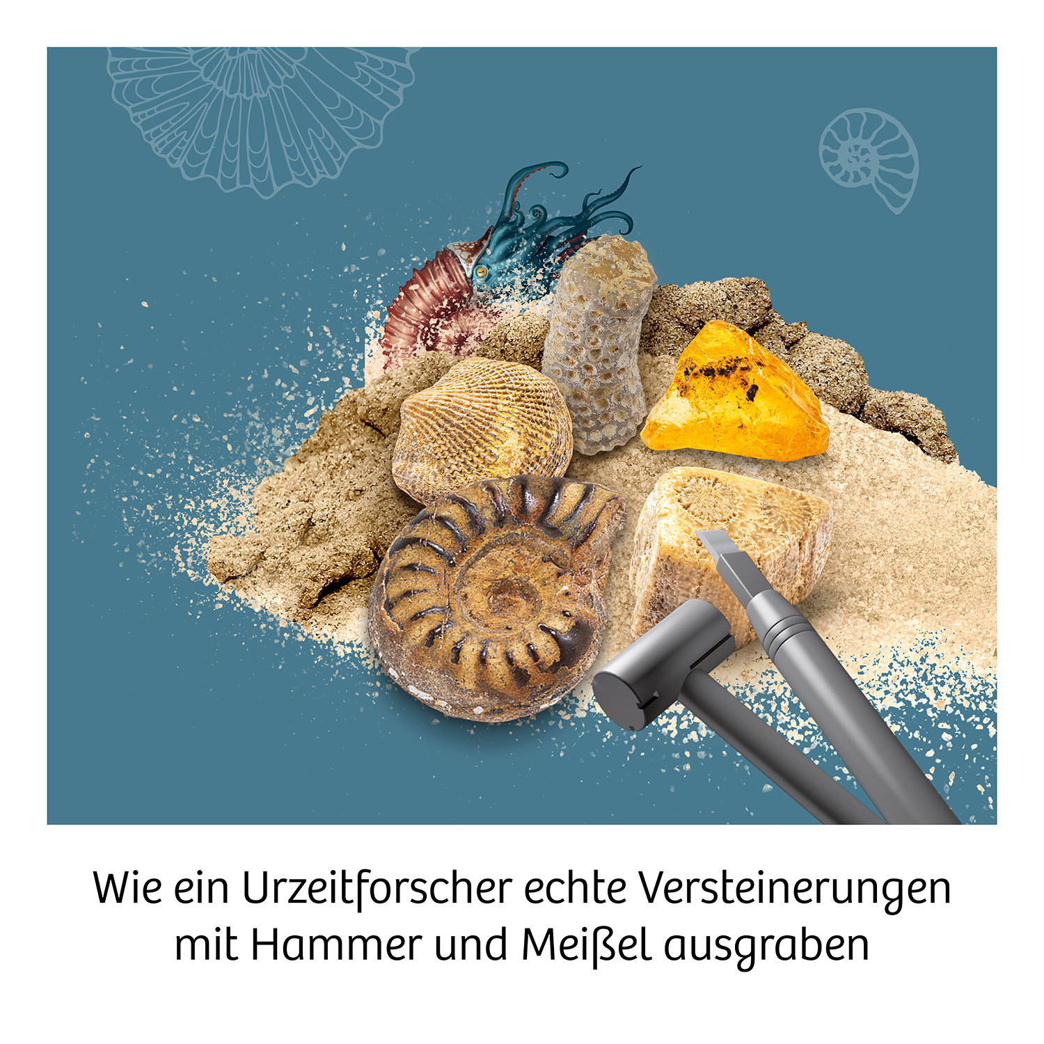 Beispielinhalt (Bild) Fossilien