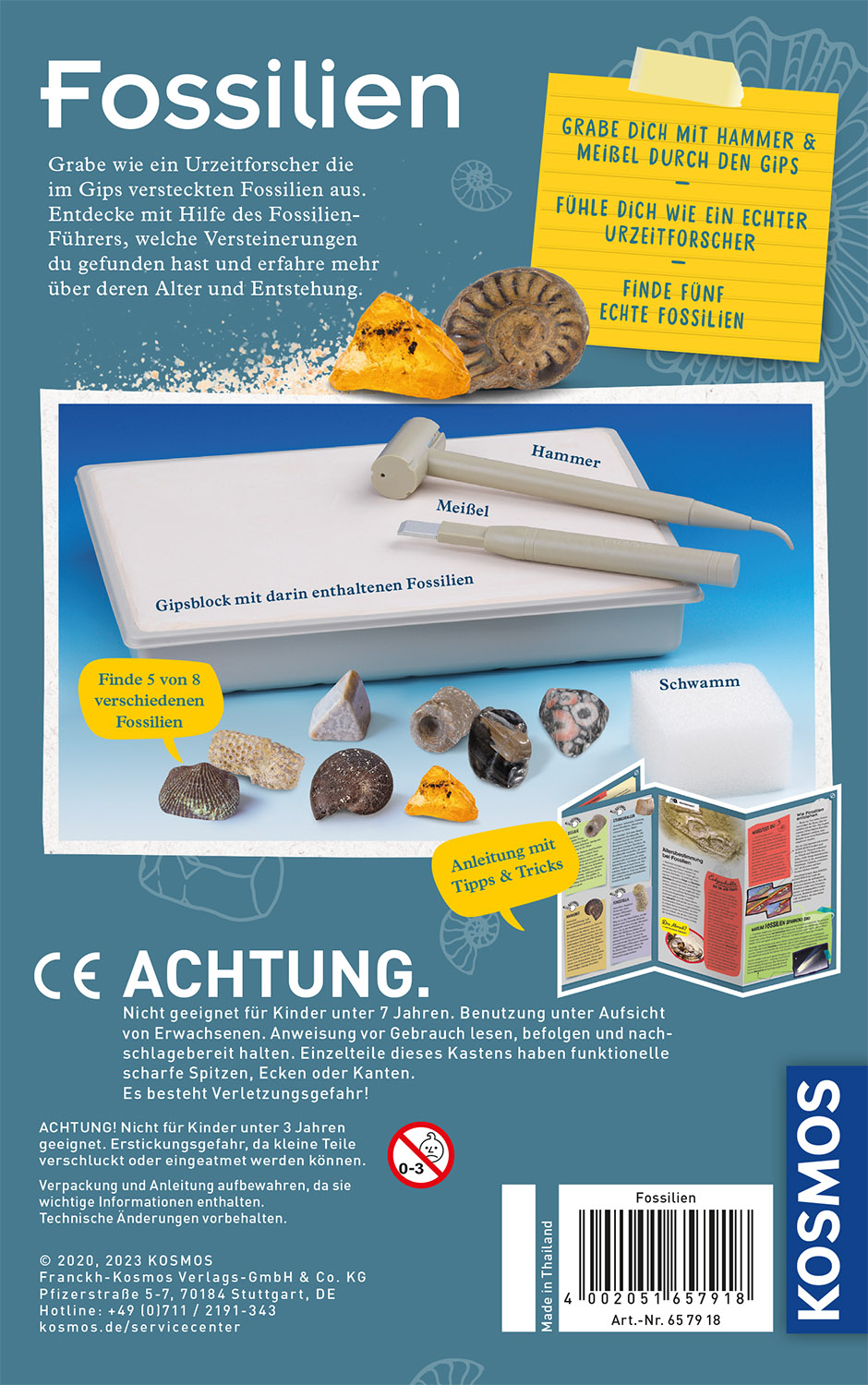 Rückseitencover Fossilien