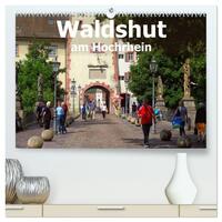Vorderes Coverbild Waldshut am Hochrhein (hochwertiger Premium Wandkalender 2025 DIN A2 quer), Kunstdruck in Hochglanz