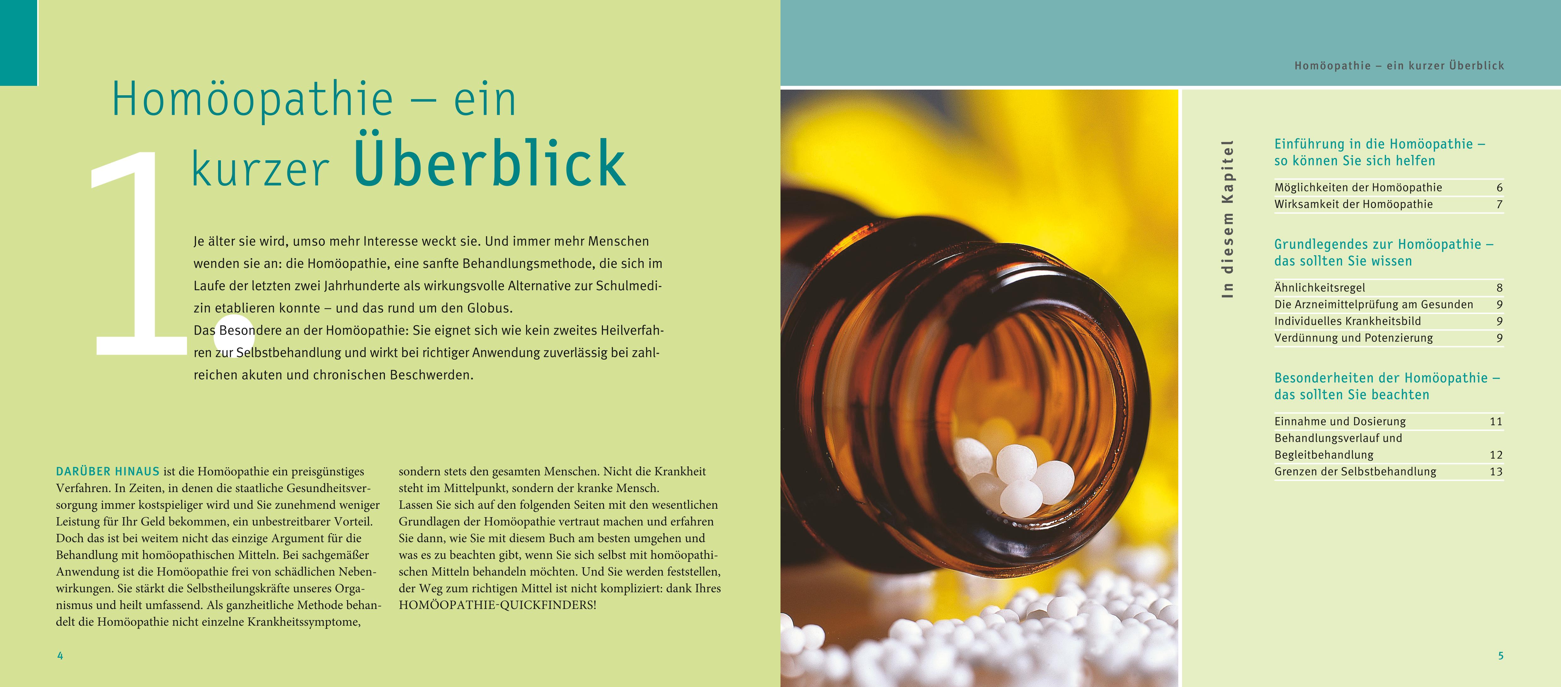 Beispielinhalt (Bild) Quickfinder Homöopathie