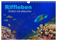 Vorderes Coverbild Riffleben - Einfach mal abtauchen (Wandkalender 2025 DIN A4 quer), CALVENDO Monatskalender