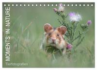 Vorderes Coverbild Moments in Nature (Tischkalender 2025 DIN A5 quer), CALVENDO Monatskalender
