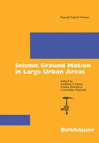 Vorderes Coverbild Seismic Ground Motion in Large Urban Areas