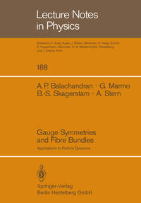 Vorderes Coverbild Gauge Symmetries and Fibre Bundles
