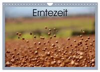 Vorderes Coverbild Erntezeit (Wandkalender 2025 DIN A4 quer), CALVENDO Monatskalender