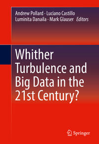 Vorderes Coverbild Whither Turbulence and Big Data in the 21st Century?