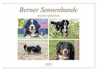 Vorderes Coverbild Berner Sennenhunde machen glücklich (Wandkalender 2025 DIN A3 quer), CALVENDO Monatskalender