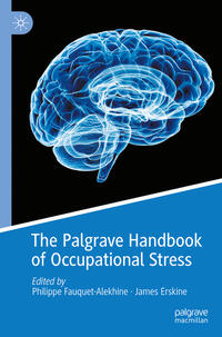 Vorderes Coverbild The Palgrave Handbook of Occupational Stress