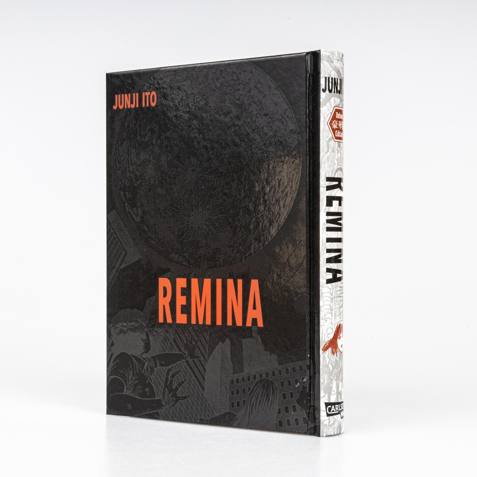 Beispielinhalt (Bild) Remina