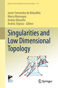 Vorderes Coverbild Singularities and Low Dimensional Topology