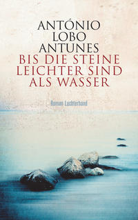 Vorderes Coverbild Bis die Steine leichter sind als Wasser