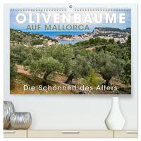 Vorderes Coverbild Olivenbäume auf Mallorca - Die Schönheit des Alters (hochwertiger Premium Wandkalender 2025 DIN A2 quer), Kunstdruck in Hochglanz