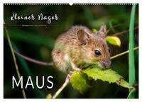 Vorderes Coverbild Kleiner Nager - Maus (Wandkalender 2025 DIN A2 quer), CALVENDO Monatskalender