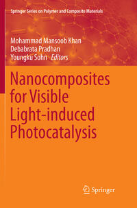 Vorderes Coverbild Nanocomposites for Visible Light-induced Photocatalysis