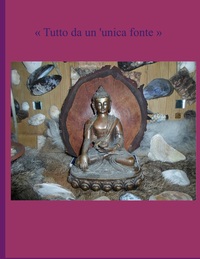 Vorderes Coverbild Tutto da un'unica fonte
