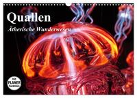 Vorderes Coverbild Quallen. Ätherische Wunderwesen (Wandkalender 2025 DIN A3 quer), CALVENDO Monatskalender