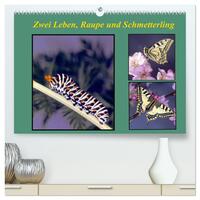Vorderes Coverbild Zwei Leben, Raupe und Schmetterling (hochwertiger Premium Wandkalender 2025 DIN A2 quer), Kunstdruck in Hochglanz