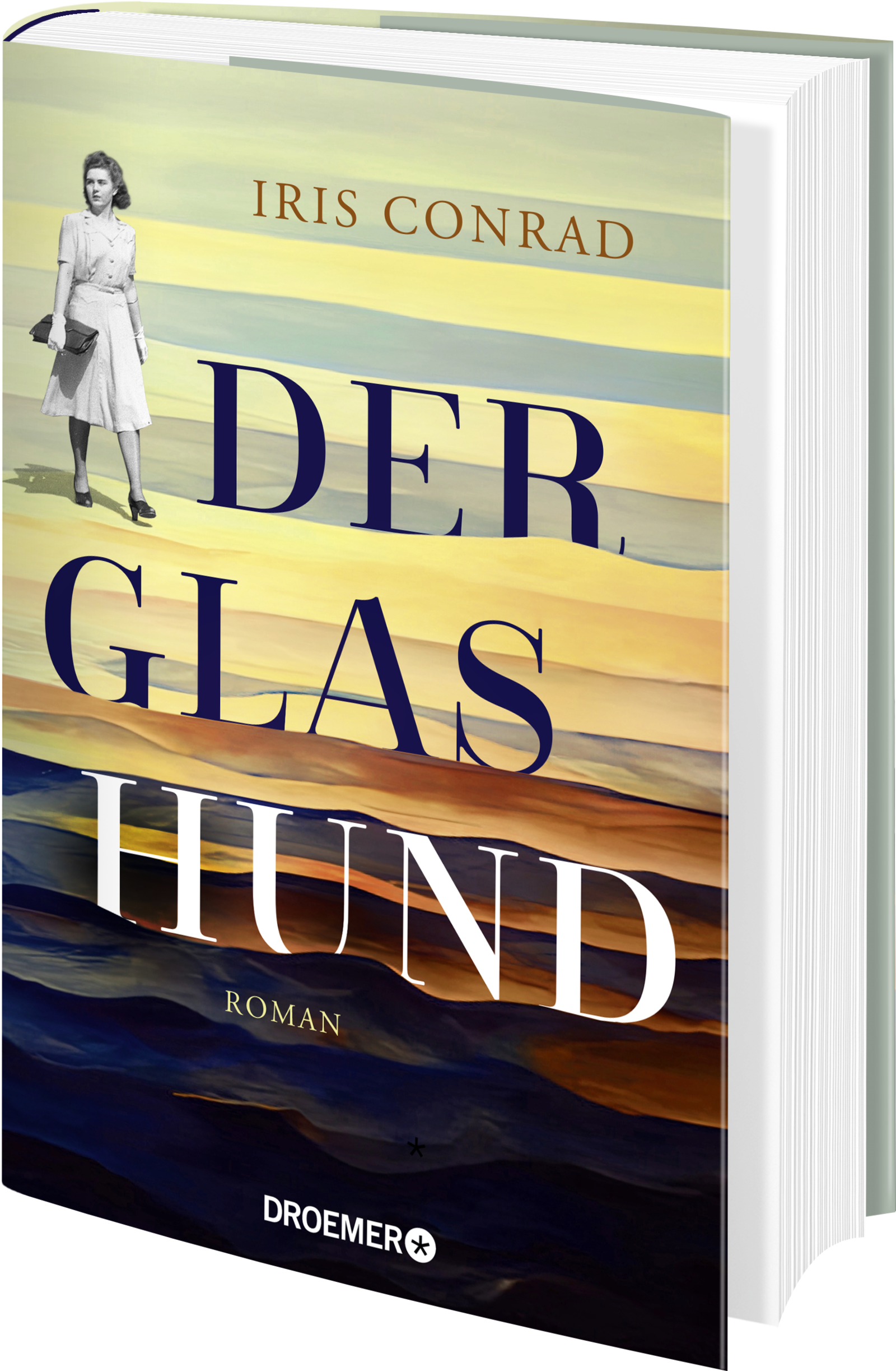 Anderes Coverbild Der Glashund