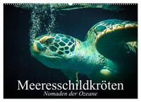 Vorderes Coverbild Meeresschildkröten. Nomaden der Ozeane (Wandkalender 2025 DIN A2 quer), CALVENDO Monatskalender