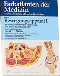 Vorderes Coverbild Band 7: Bewegungsapparat I Anatomie, Embryologie, Physiologie, Stoffwechsel