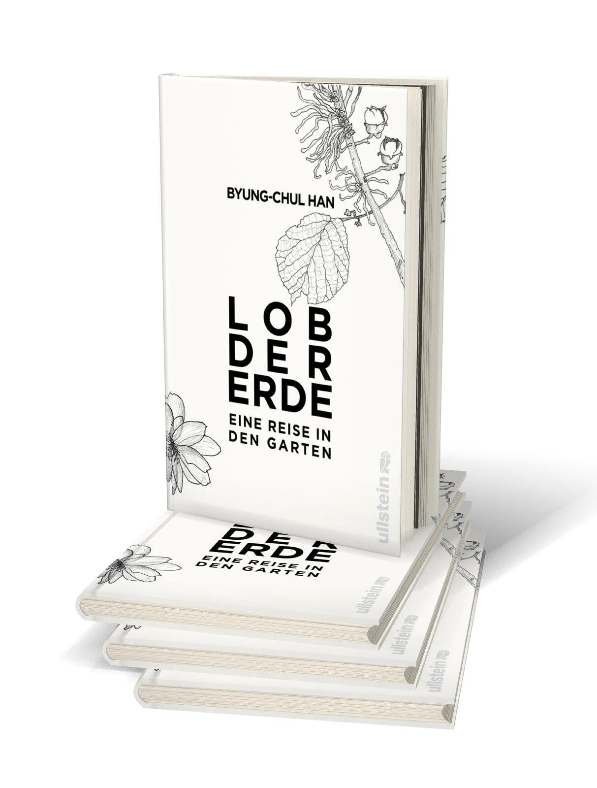 Beispielinhalt (Bild) Lob der Erde