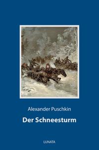 Vorderes Coverbild Der Schneesturm