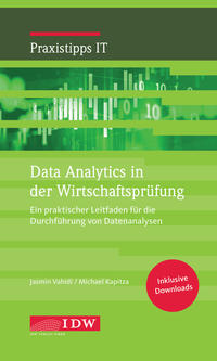 Vorderes Coverbild Data Analytics in der Wirtschaftsprüfung