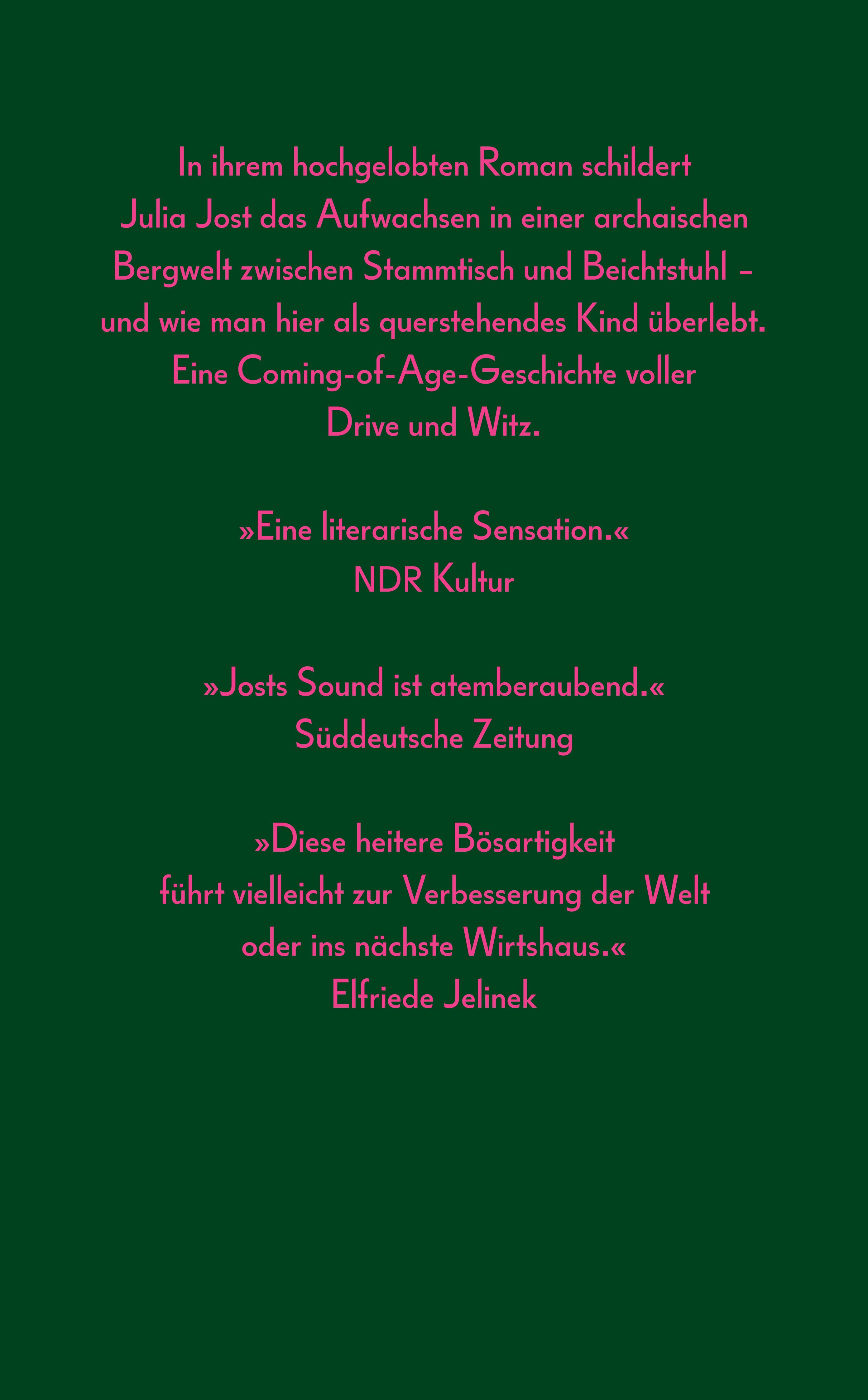 Rückseitencover Wo der spitzeste Zahn der Karawanken in den Himmel hinauf fletscht