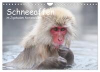 Vorderes Coverbild Schneeaffen im Jigokudani Nationalpark (Wandkalender 2025 DIN A4 quer), CALVENDO Monatskalender
