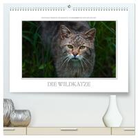 Vorderes Coverbild Emotionale Momente: Die Wildkatze. (hochwertiger Premium Wandkalender 2025 DIN A2 quer), Kunstdruck in Hochglanz
