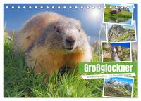 Vorderes Coverbild Großglockner wunderschöne Berg- und Tierwelt (Tischkalender 2025 DIN A5 quer), CALVENDO Monatskalender