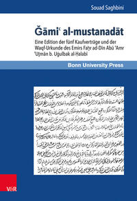 Vorderes Coverbild Gami' al-mustanadat