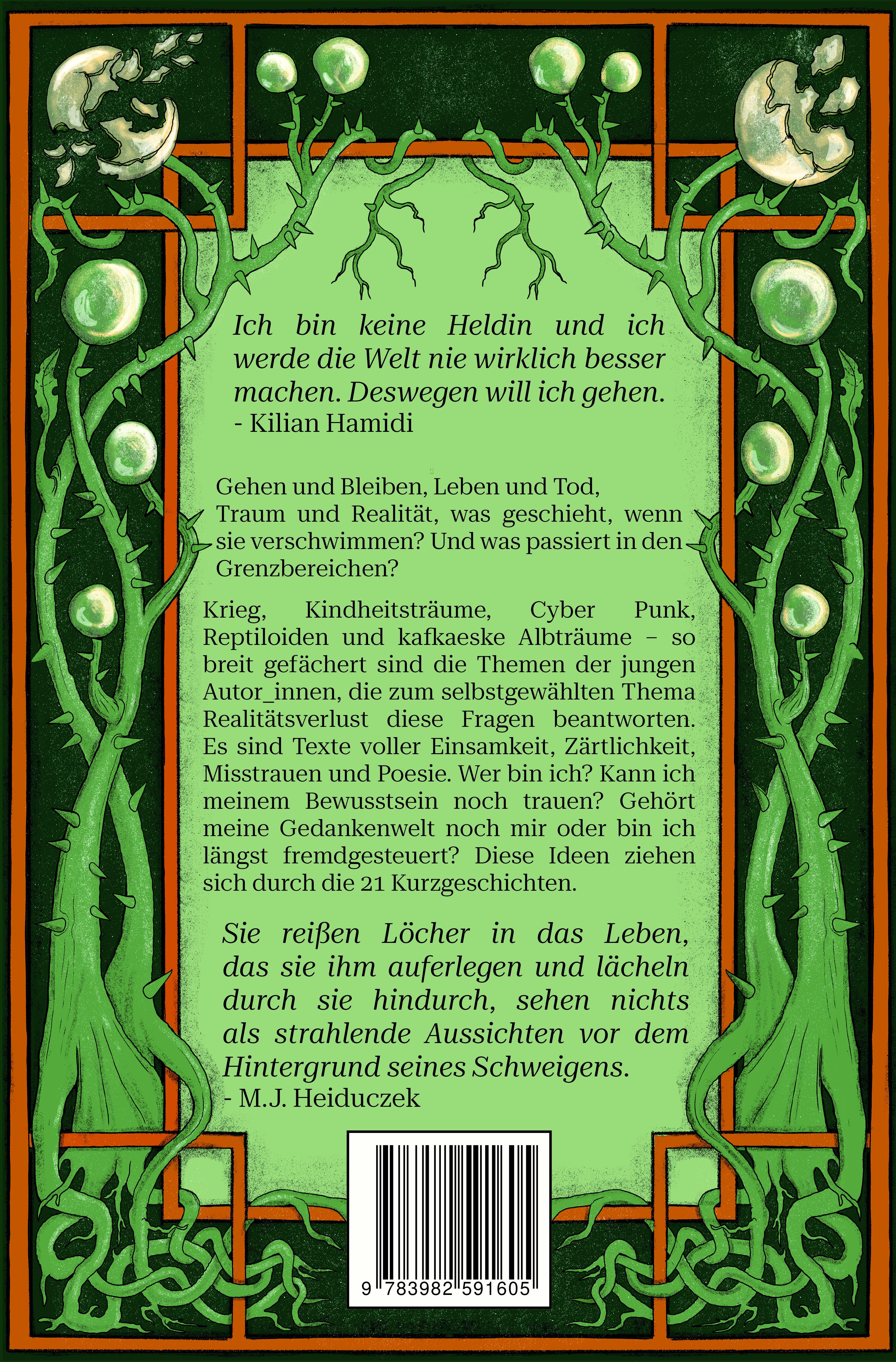 Rückseitencover TraumZeitRisse