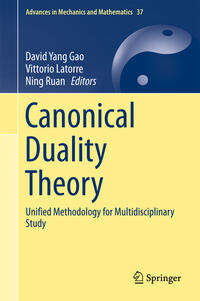 Vorderes Coverbild Canonical Duality Theory