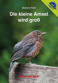 Vorderes Coverbild Die kleine Amsel wird groß / Igelheft 83